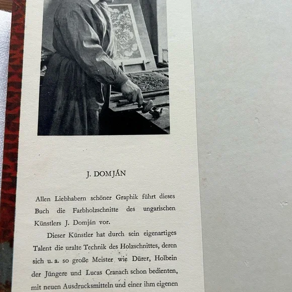 Corvina Domján Art Book Hungarian Artist - Picture 2 of 6